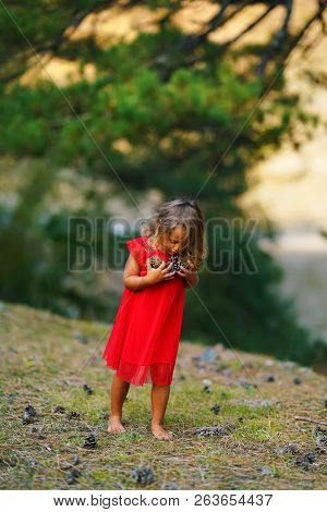 Little Girl In A Red Dress Collects Cones In The Forest In Greece