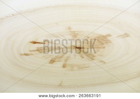 Closeup Background Of Year Rings Texture Of The Unique Relict Ash Tree (fraxinus Sogdiana) Grown In 