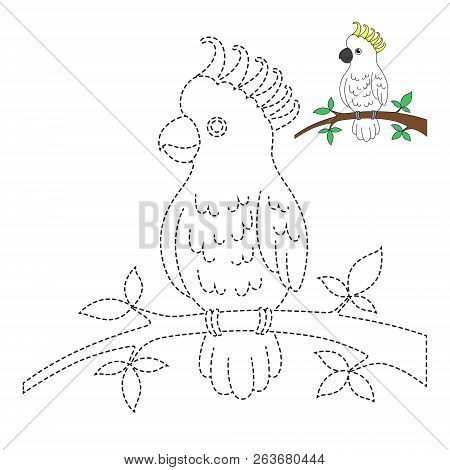 vector drawing vector photo free trial bigstock