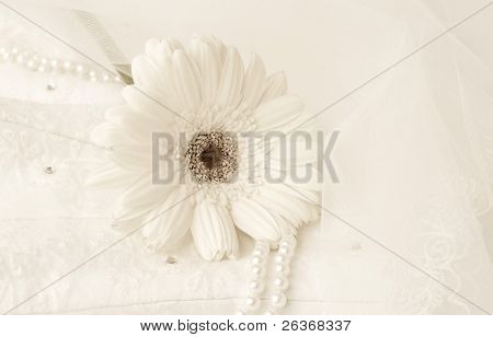 tło wesele wzór włókienniczych