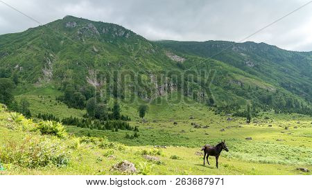 Artvin, Turkey - July 2018: Gorgit Highland With Old Houses And Green Valley In Blacksea Region, Art