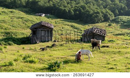 Artvin, Turkey - July 2018: An Unidentified Woman Walks With Her Horse In Gorgit Highland In Blackse