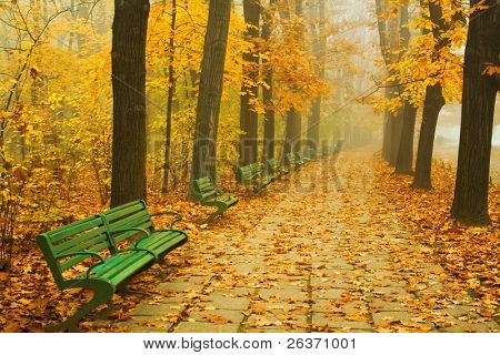 peaceful alley in a park in autumn
