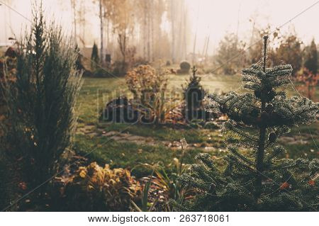 Fog In Early Morning In Late Autumn Or Winter Garden. Frosty Beautiful Rural View With Pathway, Lawn