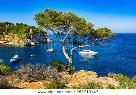 Mallorca Island, Luxury Boats Yachts At Portals Vells Bay, Spain Mediterranean Sea
