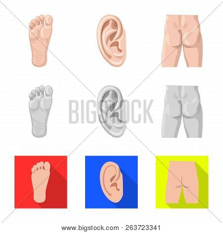 Vector Design Of Human And Part Icon. Set Of Human And Woman Vector Icon For Stock.