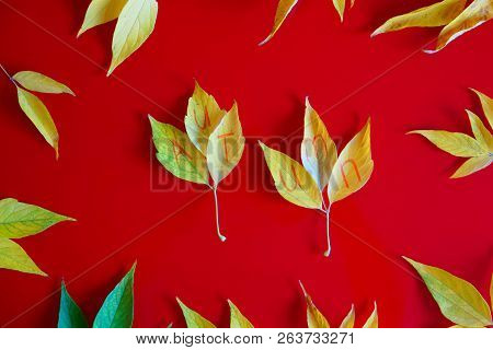 Composition Of Yellow Autumn Leaves With The Name Of The Season. Autumn Mood.