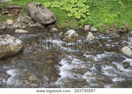 Beautiful Place At Source Of The River In The Mountains. Mountain River In Resort Sairme. Clean Moun