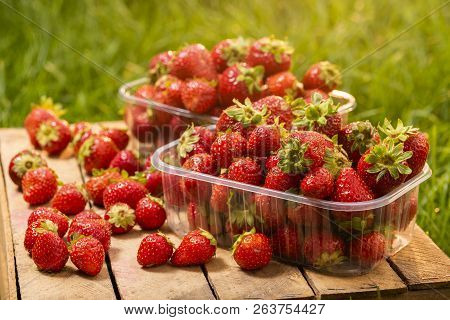 Fresh Strawberries From The Garden In Plastic Boxes Close-up