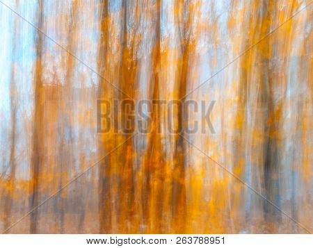 Blurred Tree Trunks At A City Park With Golden Autumn Leaves. Intentional Camera Movement Icm. Fall