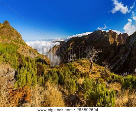 Panorama - Pico Ruivo and Pico do Arierio - Madeira Portugal - travel background