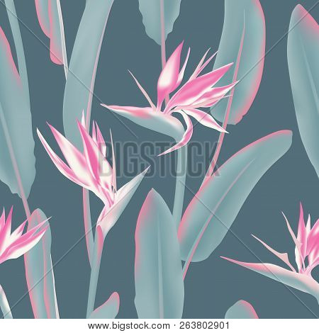 South African Tropical Flower Seamless Vector Pattern. Jungle Plant Strelitzia Reginae Also Known As
