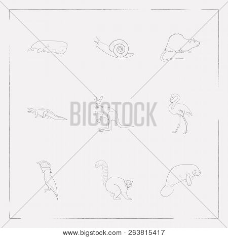 Set Of Alive Icons Line Style Symbols With Snail, Sea Cow, Flamingo And Other Icons For Your Web Mob