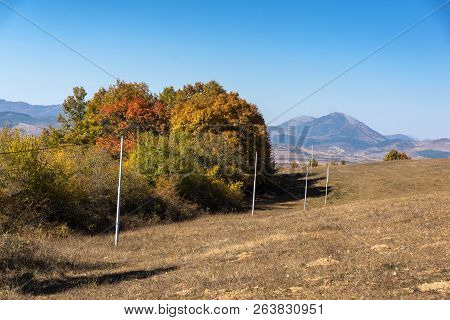 Autumn Landscape Of Cherna Gora (monte Negro) Mountain, Pernik Region, Bulgaria