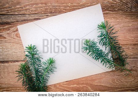 A Sheet Of Paper And Green Sprigs Of Portulac Like A Christmas Tree On Rustic Wooden Background, Cop