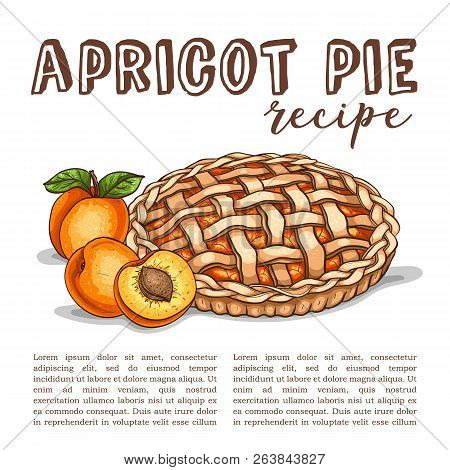 Vector Color Sketch Apricot Pie Reciep, Lime Art, Hand Drawn Illustration