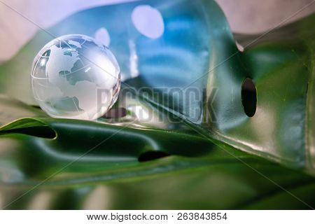World Globe Cystal Glass On Green Lush Leaf. Environmental Conservation. World Environment Day. Glob