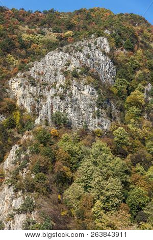 Amazing Autumn Landscape With  Forest Around Krichim Reservoir, Rhodopes Mountain, Bulgaria