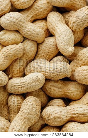 Uncleaned Inshell Peanuts. Peanuts, For Background Or Textures.