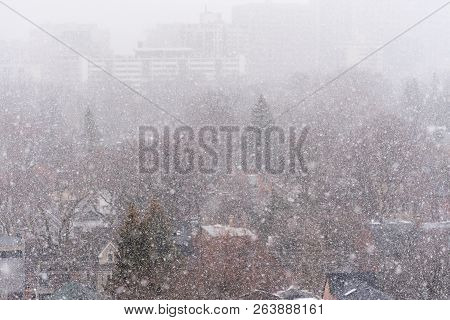 Streets And Trees Covered With Snow During Winter Snow Storm In Toronto In February
