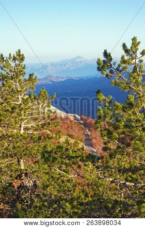 Green Pine Trees On A Mountain Slope, Beautiful Autumn Mountain Landscape. Montenegro, Dinaric Alps,