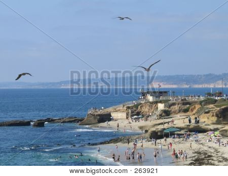 Beach_co