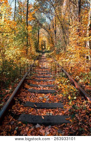 love tunnel in autumn