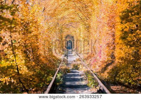 love tunnel in autumn