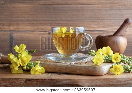 A Cup Of Mullein Tea With Fresh Verbascum Densiflorum Flowers