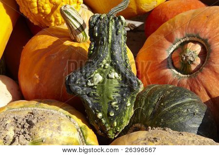 Pumkins su un rimorchio