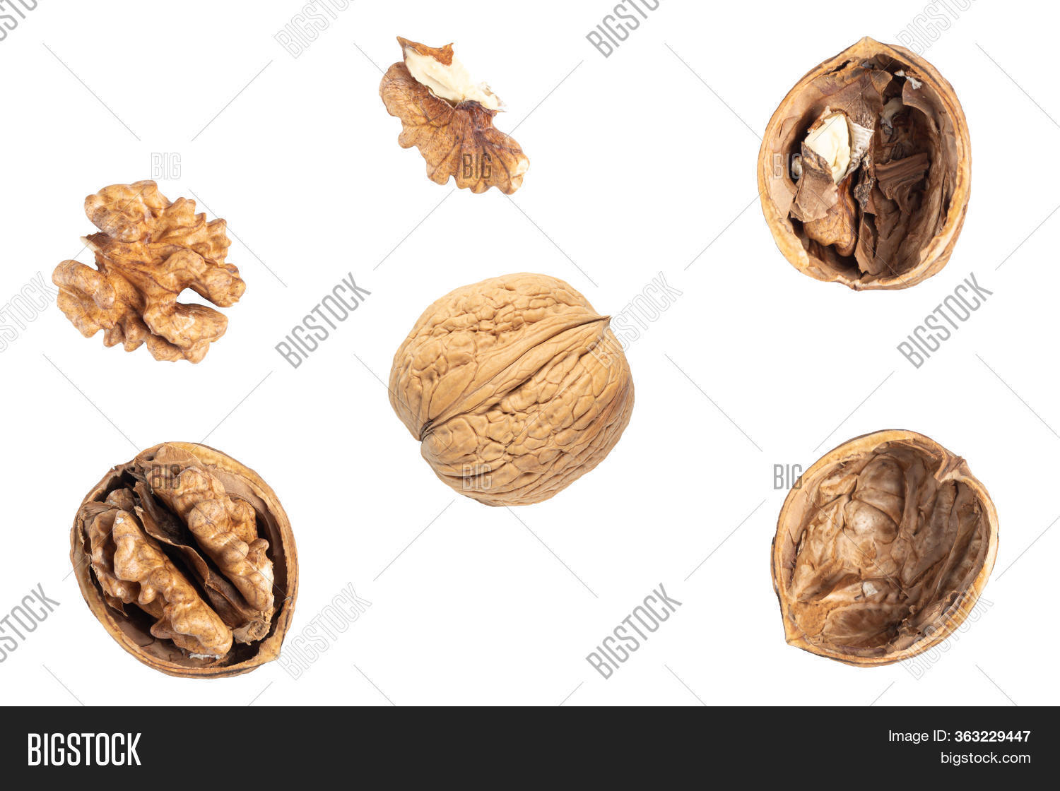 Different Walnuts Image & Photo (Free Trial) Bigstock