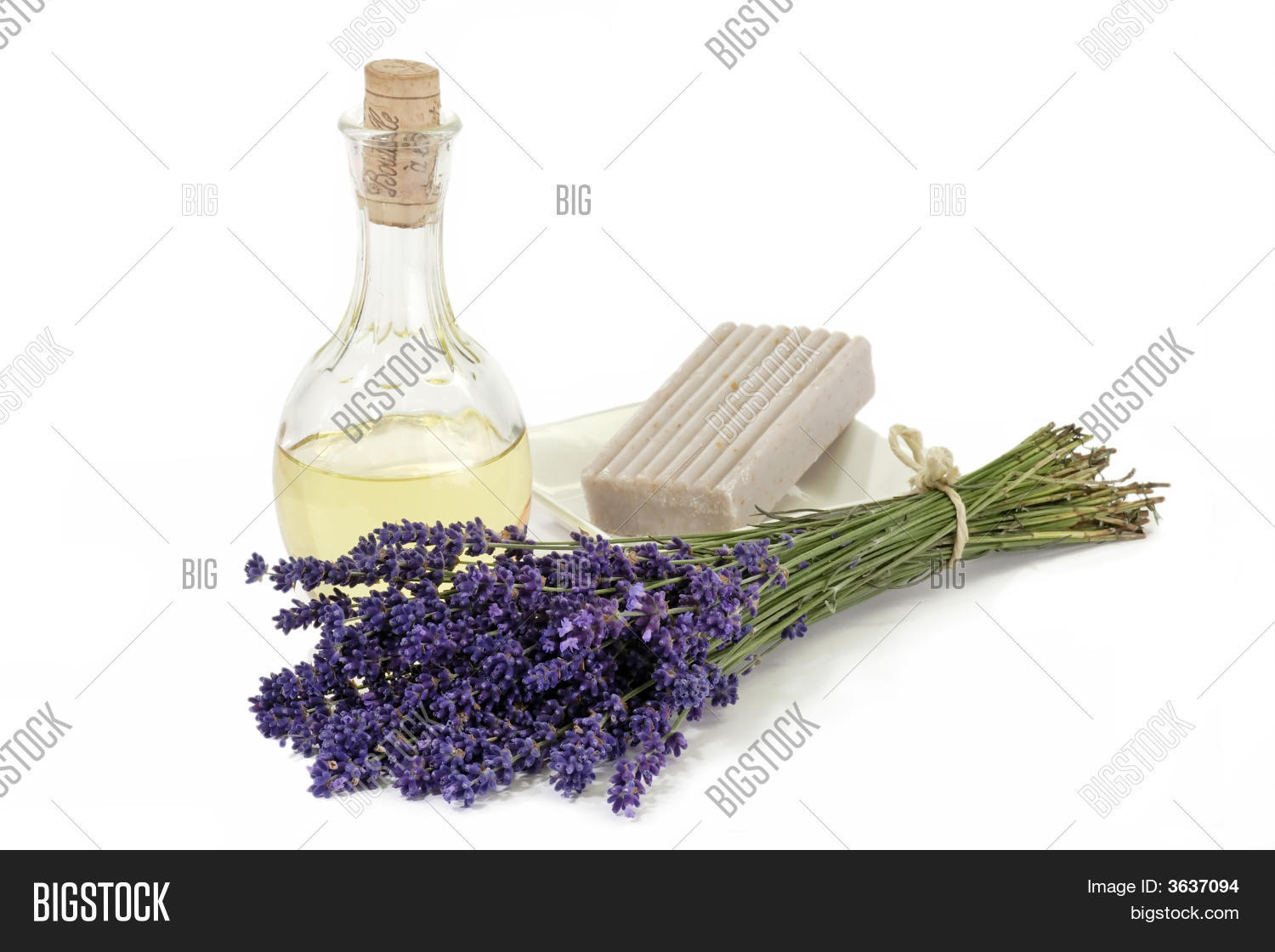 Image Preview