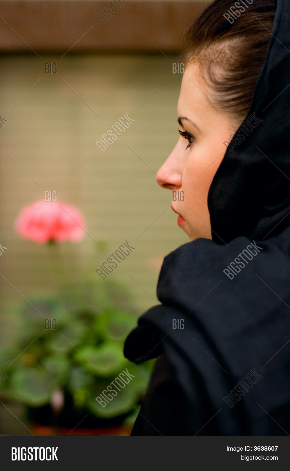Image Preview