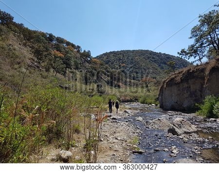 Walking Along The Hot River Located In The Spring Forest In Guadalajara, Hiking