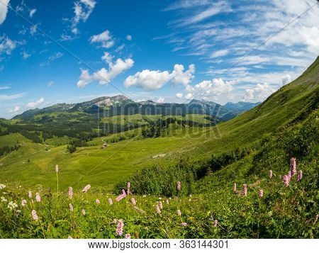 Summer time mountain nature panoramic landscape in Switzerland