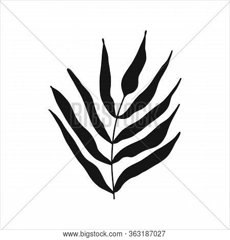 Black tropical leaf silute on an isolated white background. Botanical tree branches, palm leaf on the stem. Spring summer leaf. Concept design logo icon for the application. Vector illustration.
