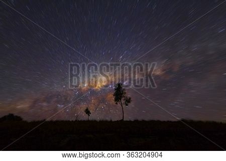 Milkyway Radial Blur And Sunset Glow In The Sky Over A Tree In Dam Water