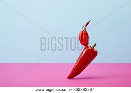 Fresh Habanero And Chili Peppers On Blue And Pink