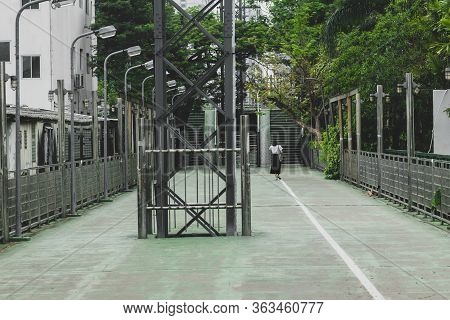 Urban Lifestyle Concept. Lonely Woman Walking In Empty Green Pedestrian Path In Background Of Green 