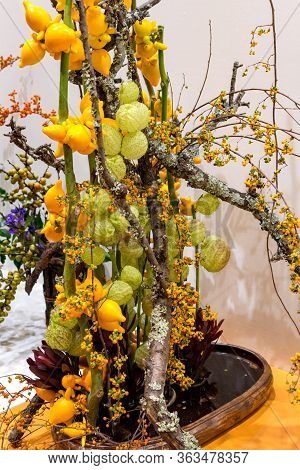 Ikebana Japanese Art Of Flower Arrangement