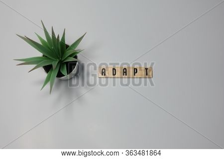The Word Adapt Is Written In Wooden Letter Tiles On A White Background.  Concept Business Change, Gr