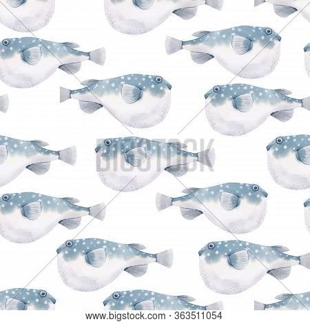 Beautiful Vector Seamless Pattern With Watercolor Globe Fish. Stock Illustration.