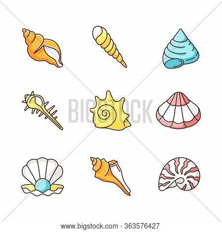 Sea Shells Rgb Color Icons Set. Various Molluscan Shells, Conchology Aquatic Souvenirs, Seashells Co