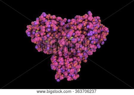 Molecule Of Sars-cov-2 Coronavirus Main Protease, 3d Illustration. The Inhibitors Of This Viral Mole