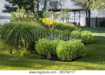 Scenic Landcape View Of Ornamental Garden With Bushes And Different Plants At Countryside. Landscapi
