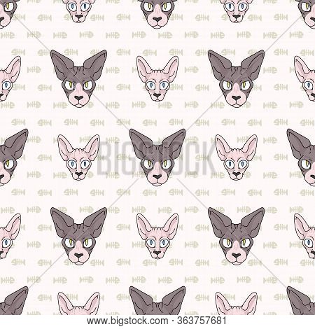 Cute Cartoon Sphynx Kitten And Cat Face Seamless Vector Pattern. Pedigree Exotic Kitty Breed Domesti
