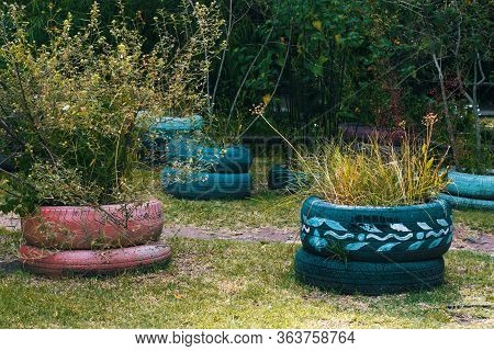 Some Car Tyre Painted With Plants In A Park In Buenos Aires