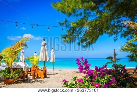 Small palm tree flowers and closed parasols on an empty Seven Mile Beach during confinement, Cayman Islands