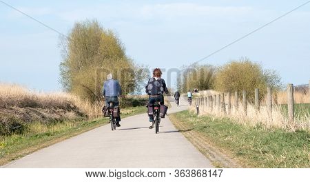 Rear View Of People Riding Bikes On Bicycle Path In The Netherlands