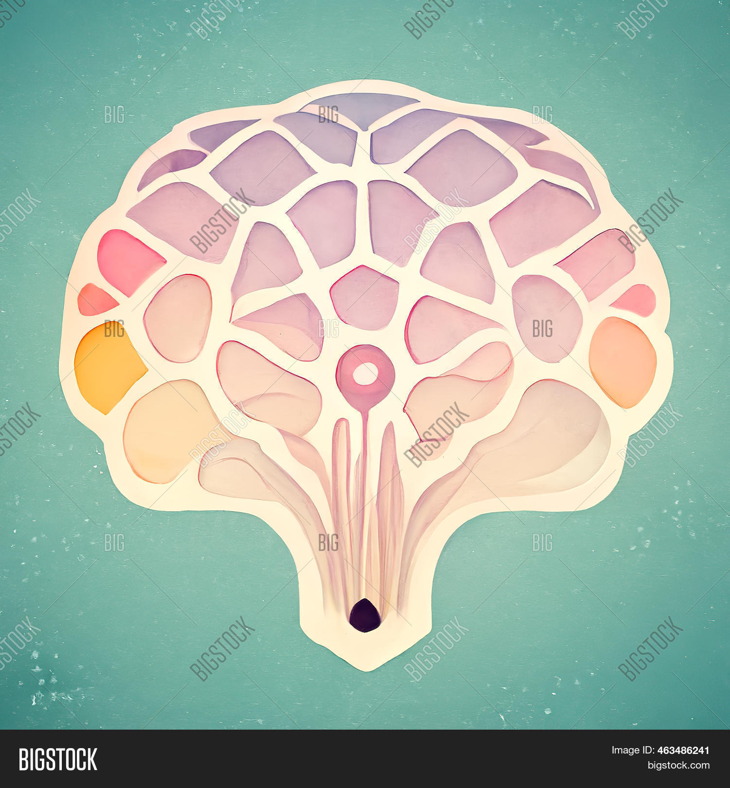 Brain Like Broccoli. Image & Photo (Free Trial) | Bigstock
